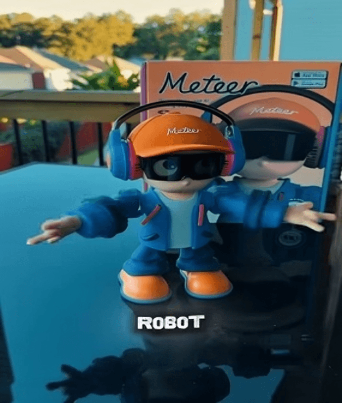 Meteer AI Robot